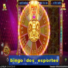 bingo dos esportes para imprimir